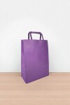 Bolsa lisa acuario 22x10x30 cm PURPLE