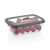 Vianda Bio 1.2 L 20x14.5x6.5 cm QLUX IDEAS Vianda Bio 1.2 L 20x14.5x6.5 cm QLUX IDEAS