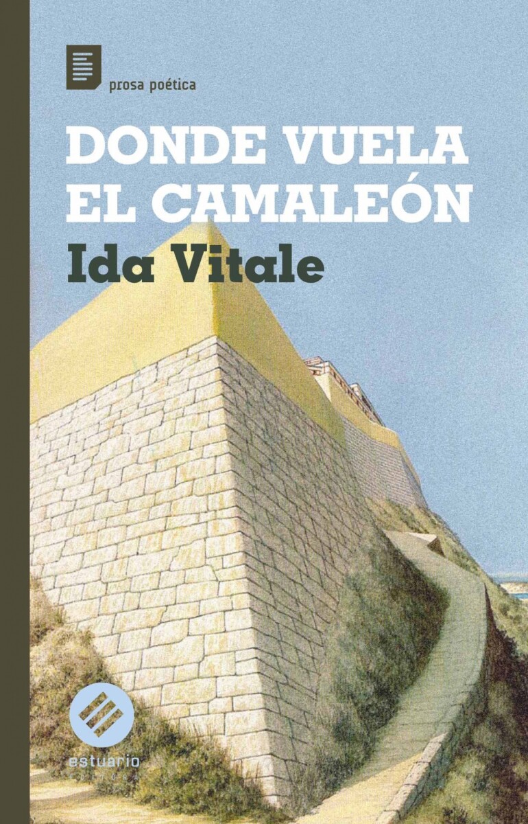 DONDE VUELA EL CAMALEON 