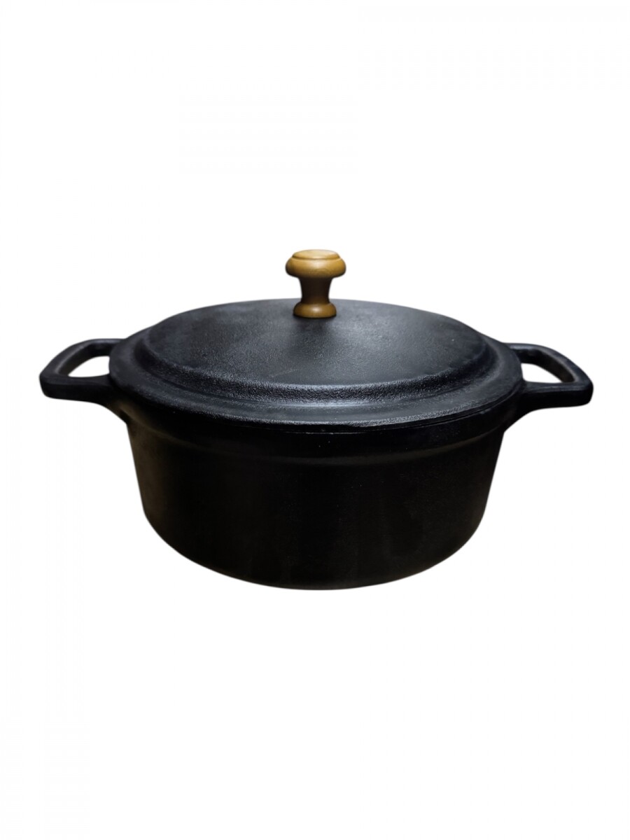 OLLA DE HIERRO FAIRES 2 LTS C/TAPA DIAM 20CM 