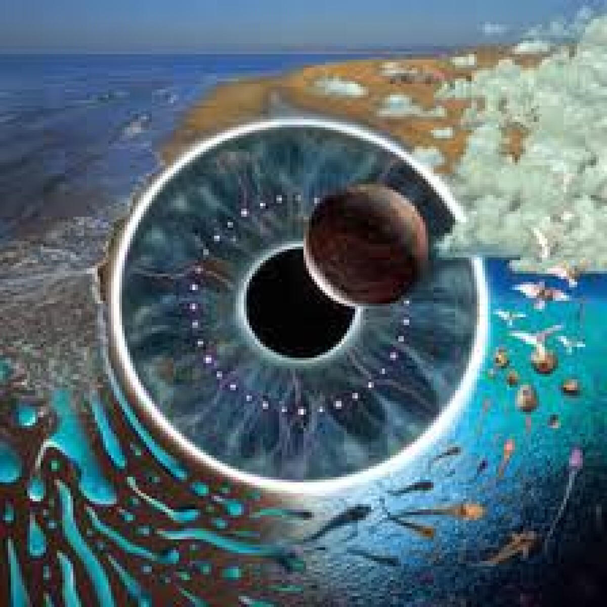 Pink Floyd- Pulse (live) 