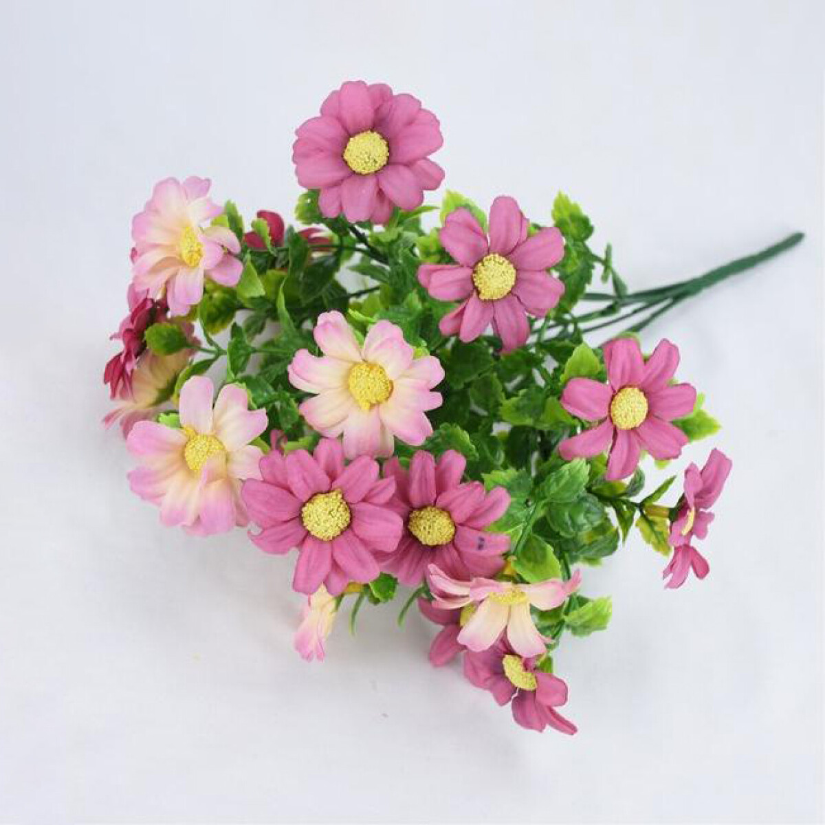 Margarita - Rosa Obscuro 