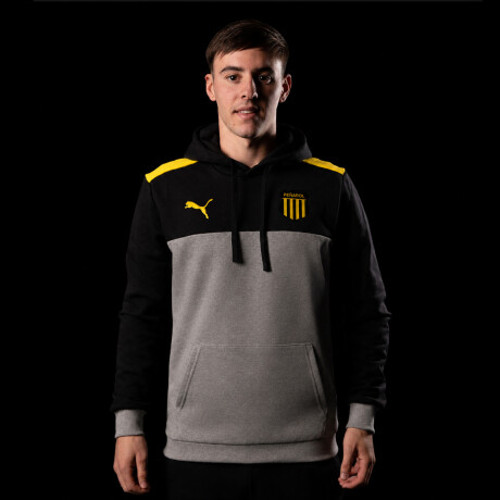 Peñarol ESS Block Hoodie 69704301 Gris