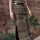 Exotic Raphia Skirt Verde Seco