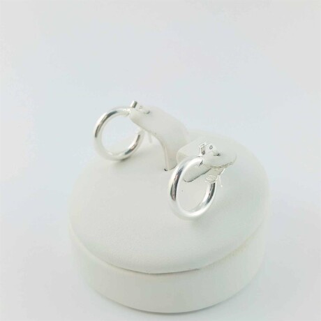 Aros de plata 925. Aros de plata 925.