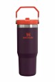 FLIP STRAW TUMBLER | 887 ML PLUM STRIPE