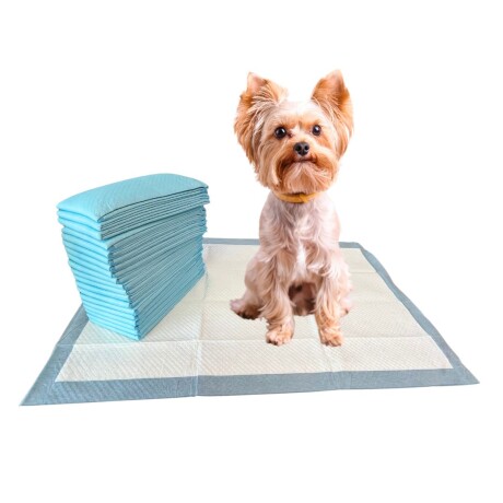 Pañales Entrenamiento Mascota 60x90cm Ultra Absorbente Pack x20 Unid Pañales Entrenamiento Mascota 60x90cm Ultra Absorbente Pack x20 Unid