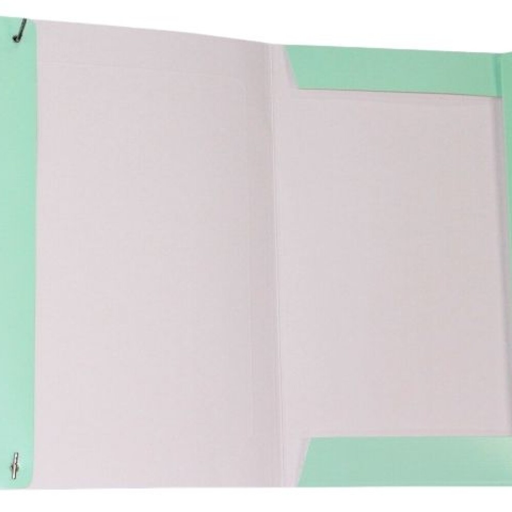 CARPETA DALI CON ELASTICO TAMAÑO OFICIO COLORES PASTELES COLOR VERDE