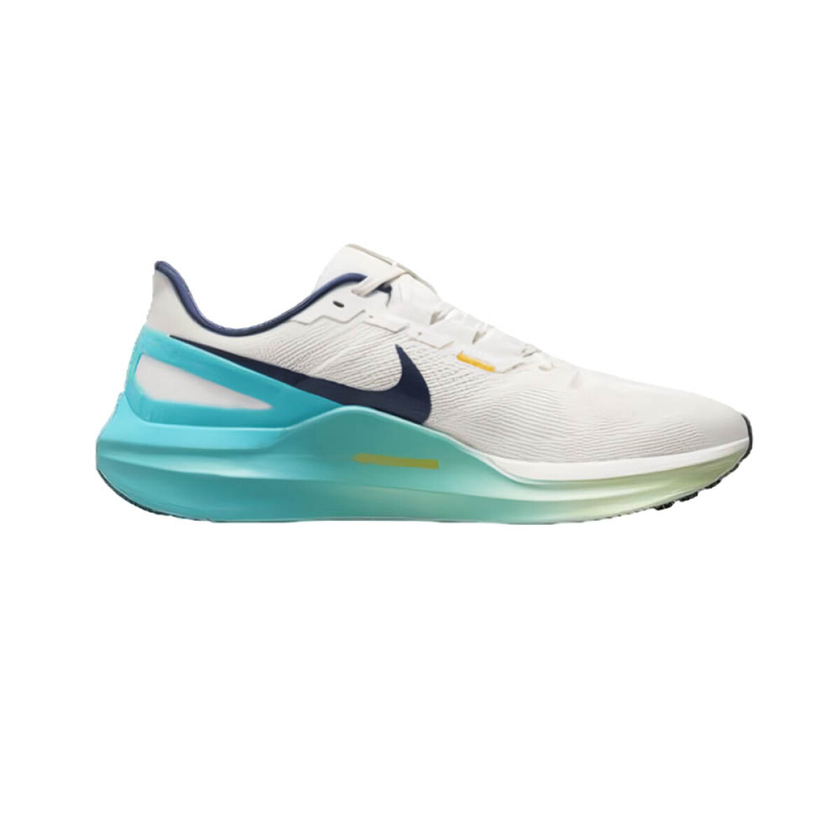 Calzados Nike DD6203401 