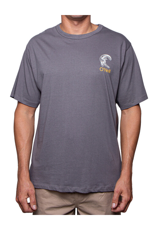Remera O'Neill Top Surf Gris