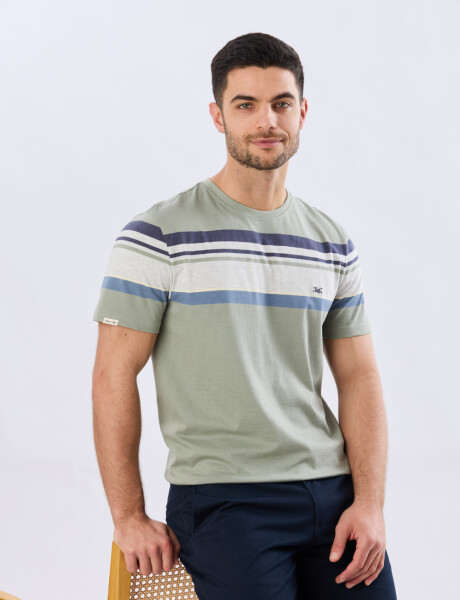 REMERA RAYADA DE ALGODÓN Pistacho