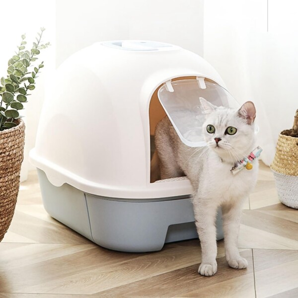 Baño Para Gato Sanitario Cerrado Bandeja Extraible Arenero Variante Color Celeste