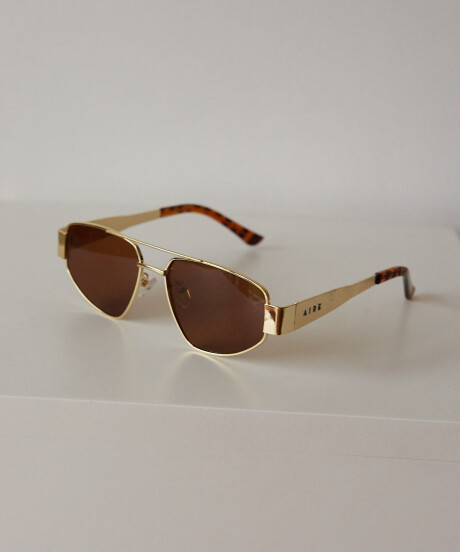 METAL TRIANGLE SUNNIES GOLD/BROWN