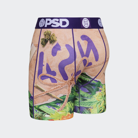Calzoncillos PSD 420 Stash Multicolor