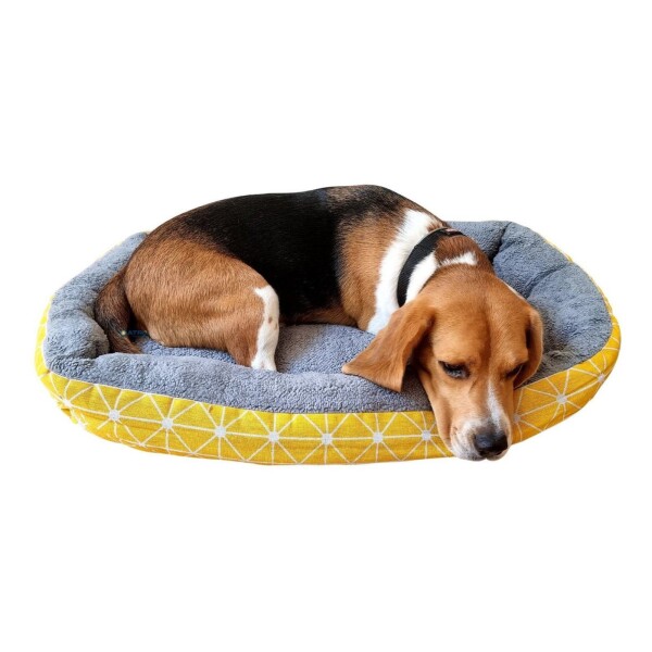 Cuna Cama Cucha Mascota Perro Gato Rectangular 50 X 37 Variante Amarillo