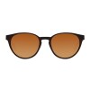 Lentes De Sol New Retro Redondo - Unisex Dorado/marrón