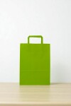 Bolsa lisa acuario 22x10x30 cm APPLE