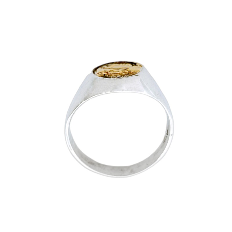 Anillo Profesión Asistente social-Plata y Oro-Sin Piedra-AP5000 Sinpiedra