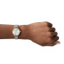 Reloj Skagen Anita Lille Acero Combinado SKW2340 0