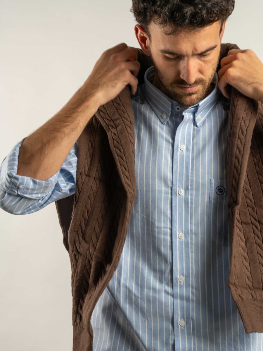 Camisa Oxford Rayada Brixton - Butcher Celeste 