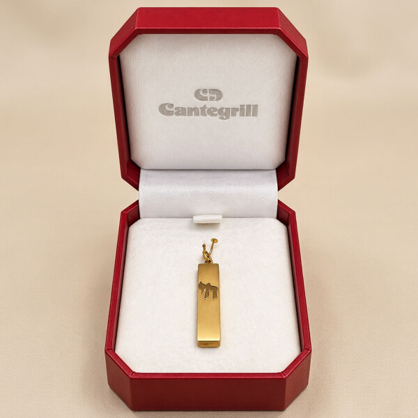 Colgante Mezuza de Oro Amarillo 18k con Jai en Oro Blanco Colgante Mezuza de Oro Amarillo 18k con Jai en Oro Blanco