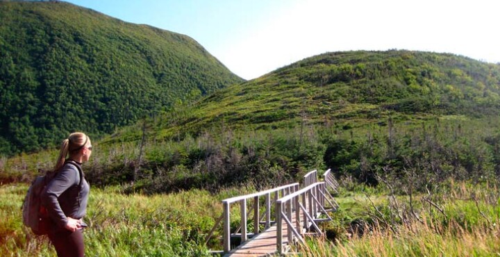 Cómo elegir tus championes de trekking
