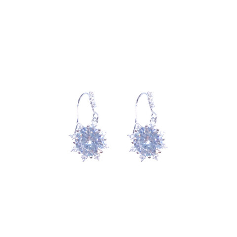 Aretes brillantes Aretes Brillantes