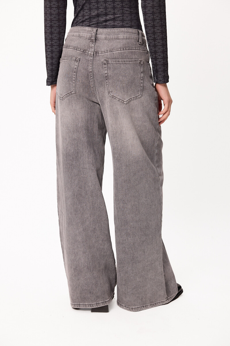 Jean Delhi Gris Washed