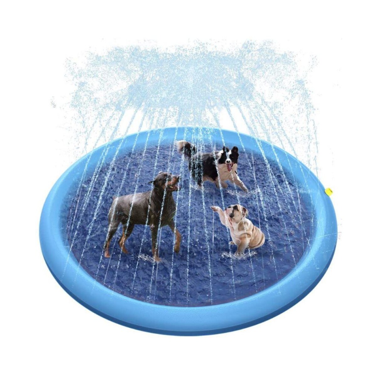 Piscina Para Perro 100 Cm 