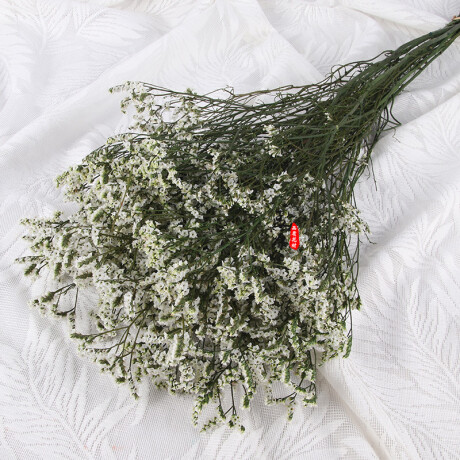 Ramo Frondoso De Flores Secas Blanco
