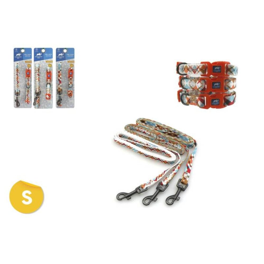 COLLAR + CORREA CON DISEÑOS S COLLAR + CORREA CON DISEÑOS S