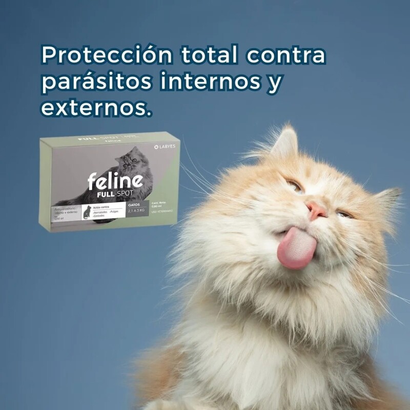 FELINE FULL SPOT DE 2 A 5 KG