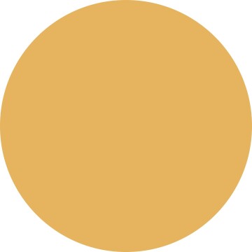 6064 Sol Beige