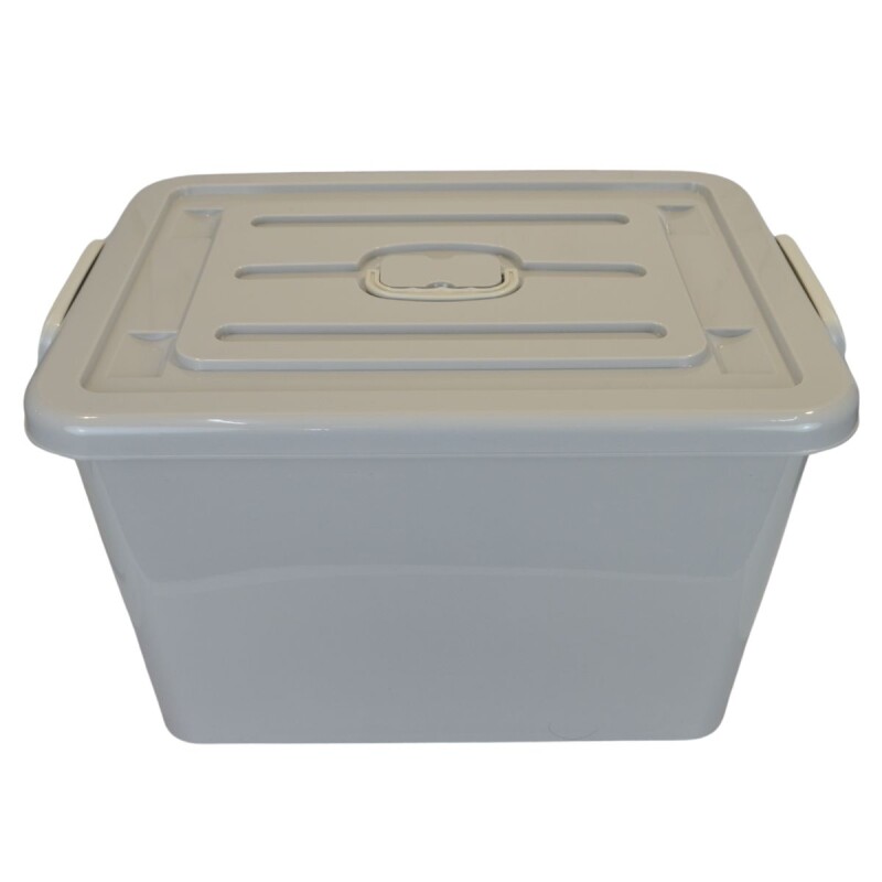 Set x2 caja organizadora 80L GRIS