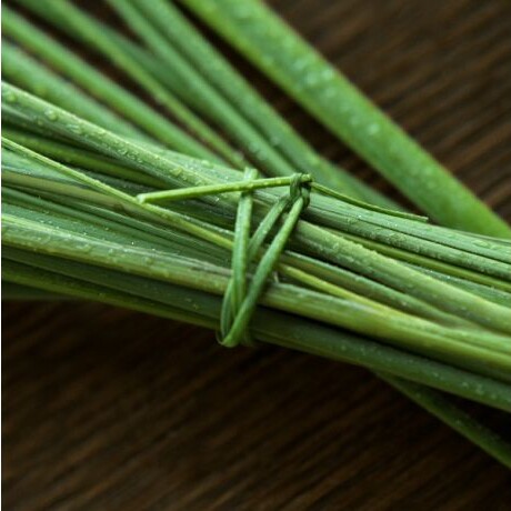 Polo 67 Eau De Toilette 75ml Polo 67 Eau De Toilette 75ml