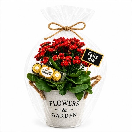 Flowers & Garden Flowers & Garden