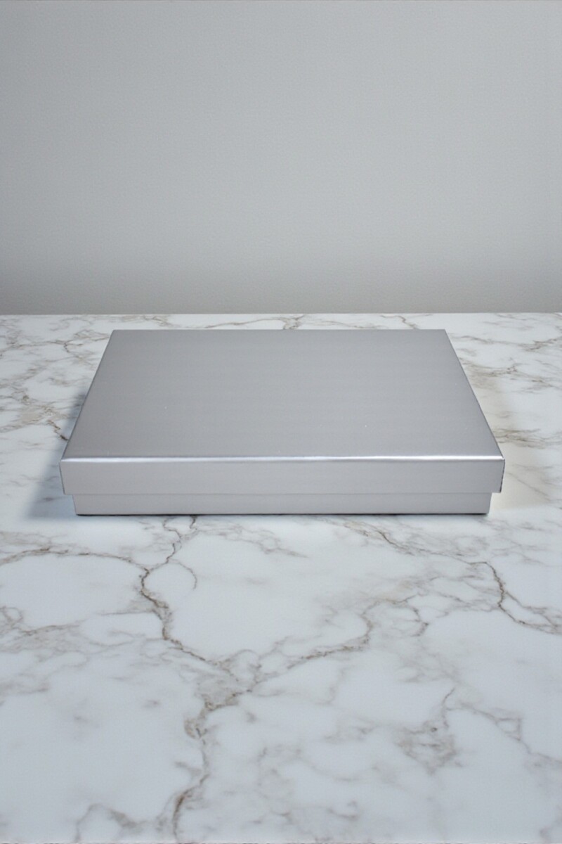 Caja Rigida 30 x 39,5 x 8 - PLATA 