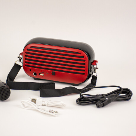 Parlante Microfono Con Bluetooth Y Usb A Bateria Rojo