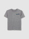 Camiseta Print Gris Medio Melange