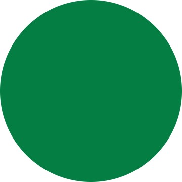 10303 Receta Verde