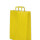 Bolsa lisa acuario 30x12x41 cm AMARILLO