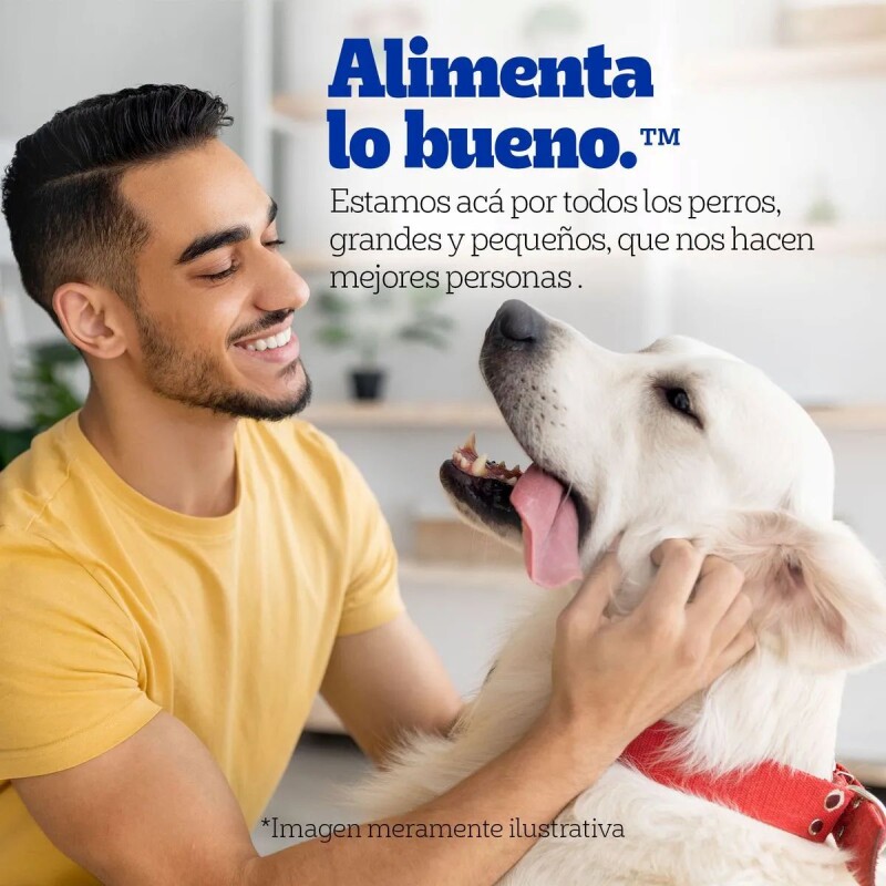 PEDIGREE EN SALSA ADULTO CARNE 100 GRAMOS PEDIGREE EN SALSA ADULTO CARNE 100 GRAMOS