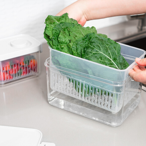 Organizador para heladera 2,8 lt con tapa -TRAMONTINA TF0402