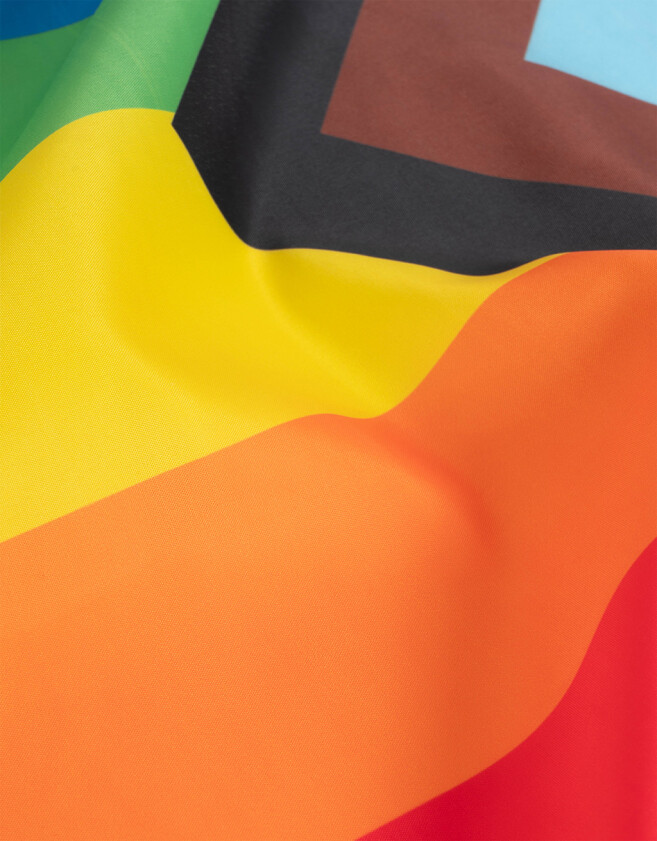 Eventos Varios Estampados Bandera "pride" - Combinacion Multicolor