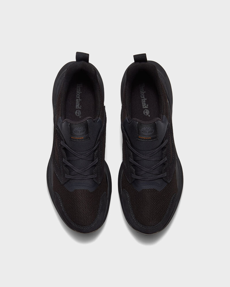 Low Lace Up Sneaker Black Mesh