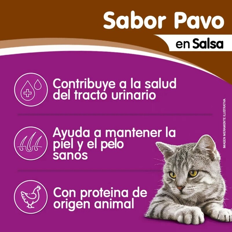 WHISKAS EN SALSA CAJA 12 UNIDADES PAVO