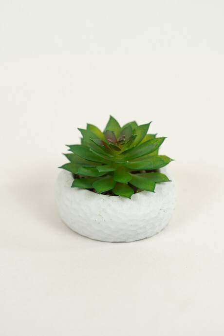 Planta Suculenta 690 Mini, Mix Color Unico