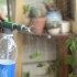 Pulverizador Agua Regador Rociador A Presión Para Botellas Variante Color Gris