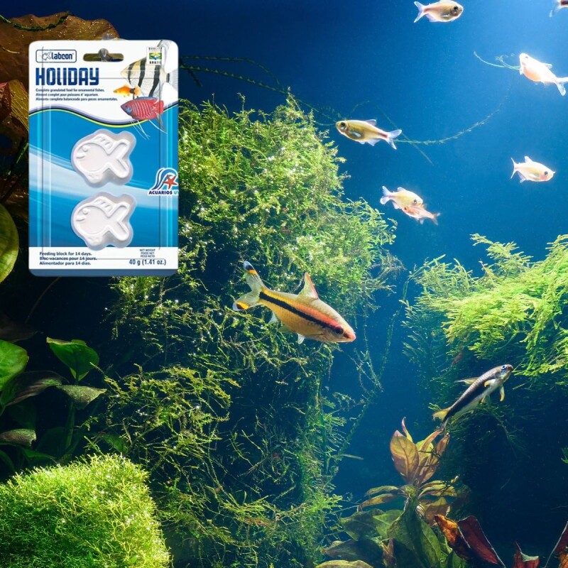 ALIMENTO VACACIONAL PECES HOLIDAY 14 DIAS 40 GRS ALIMENTO VACACIONAL PECES HOLIDAY 14 DIAS 40 GRS