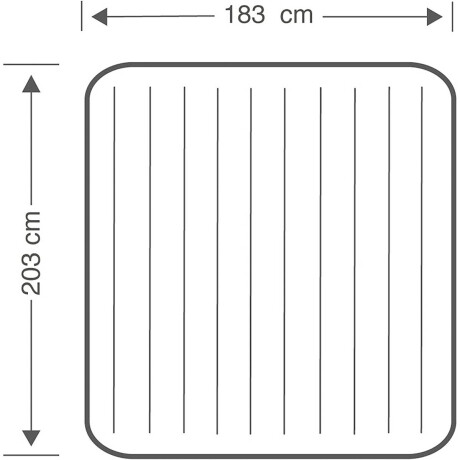 Colchon Intex 2 Plazas Inflable Clásico Resistente Inx064755